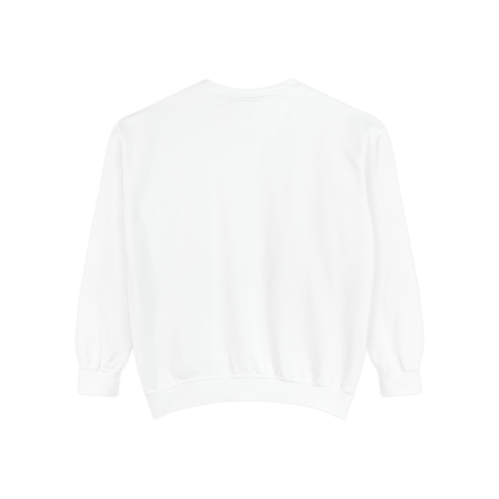 Foto Atlas Vintage Camera Sweatshirt